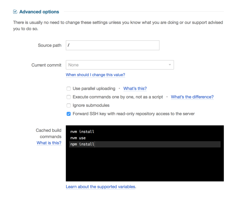 Advanced options panel - adding commands preparing a container